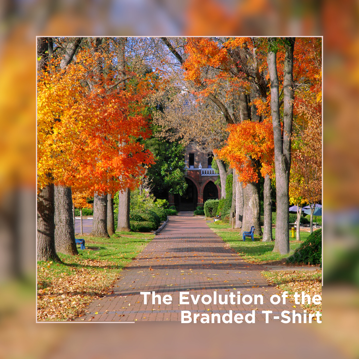 The Evolution of the Branded T-Shirt